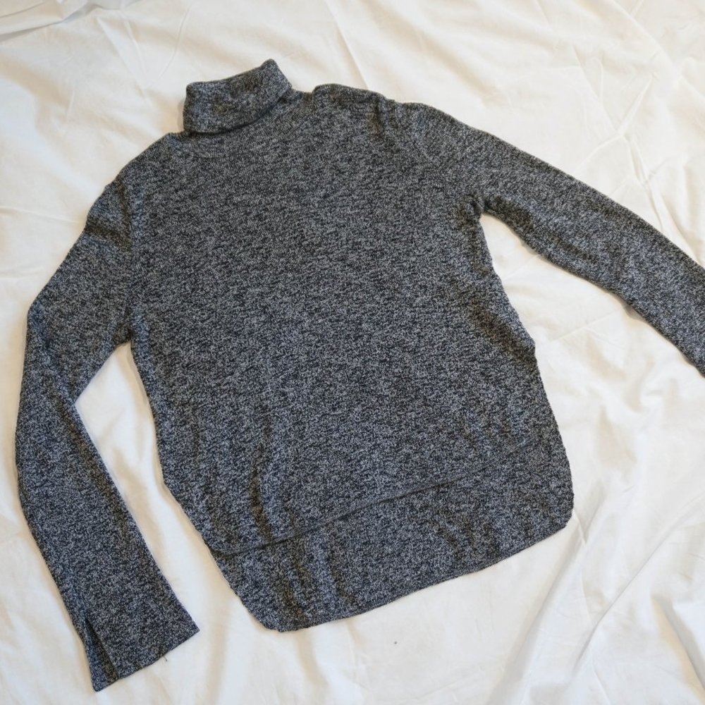 Zara Knit Turtleneck Sweater